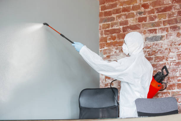 Best Asbestos and Lead Testing During Mold Inspection  in Mount Holly Springs, PA