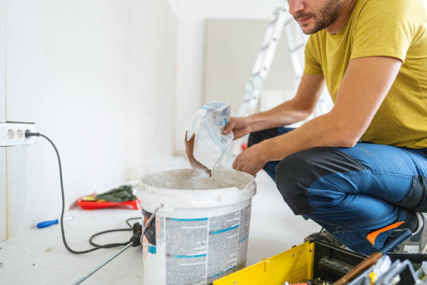 Reliable Mount Holly Springs, PA Mold Removal Solutions