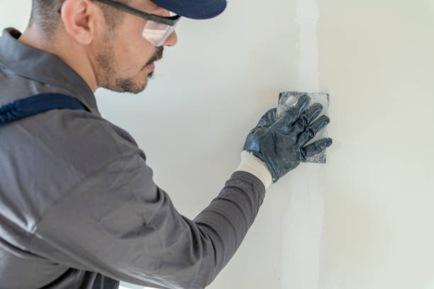 Best Black Mold Removal  in Mount Holly Springs, PA