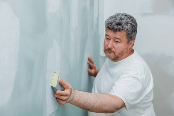 Best Post-Construction Mold Inspection  in Mount Holly Springs, PA