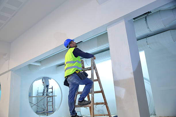 Best Mold Damage Restoration  in Mount Holly Springs, PA